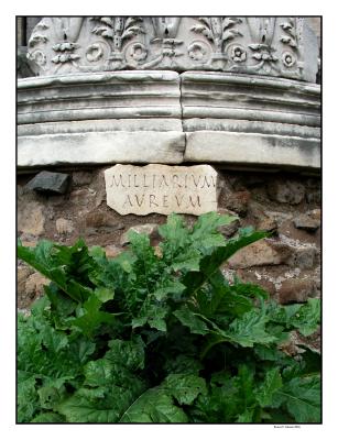 Fori Imperiali