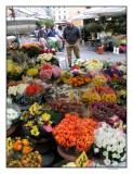 Campo dei Fiori