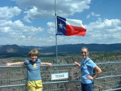 Texas Flag