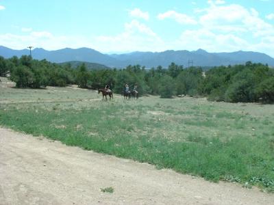 Horsing around