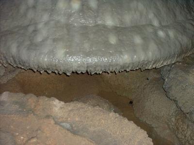 Calcium shelf with drip pool