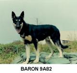 Baron-9A82
