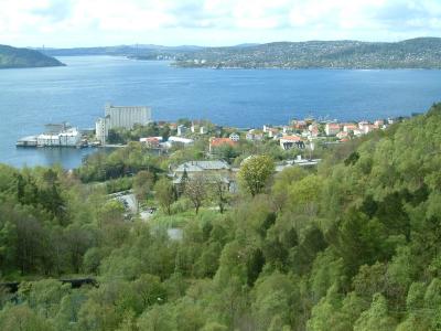 Heggernes -Sandviken sykehus sett fra Munkebotten