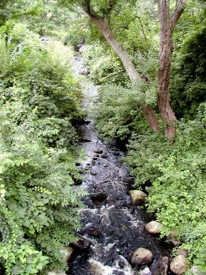 brook-3-03.jpg