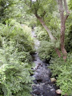 brook-4-03.jpg