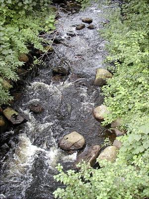 brook-5-03.jpg