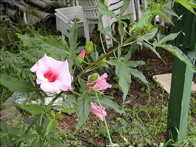 flower-2-03.jpg