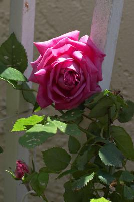u18/wbluhm/medium/43119285.IMG_4841.jpg