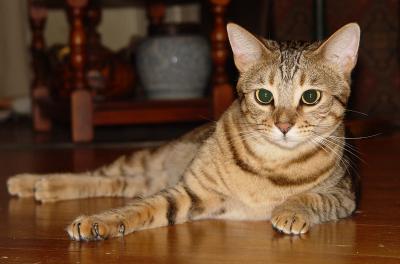 Fred Lounging