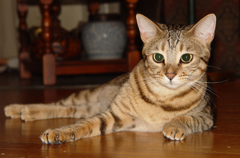 Fred Lounging