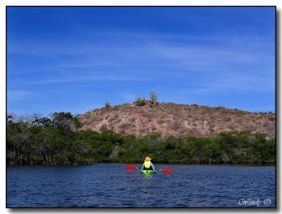 Mary in the Mangroves