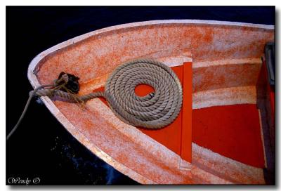Coil