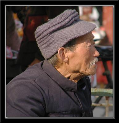 Portrait 41