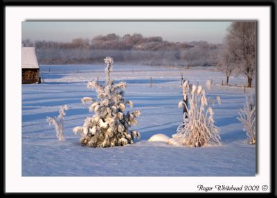 Frost on the Snow