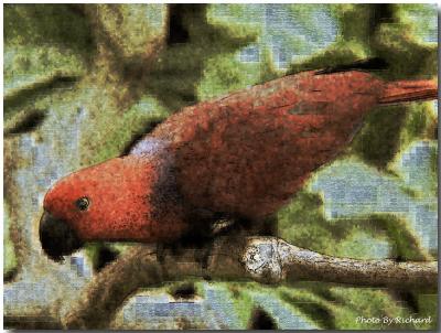 Bird Tiles 001.jpg