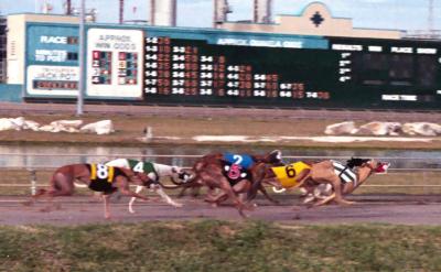 Corpus Christi Greyhound Track