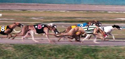 Corpus Christi Greyhound Track