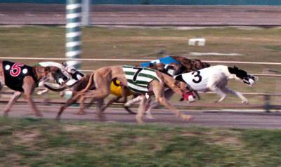 Corpus Christi Greyhound Track