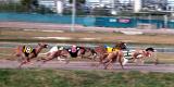 Corpus Christi Greyhound Track