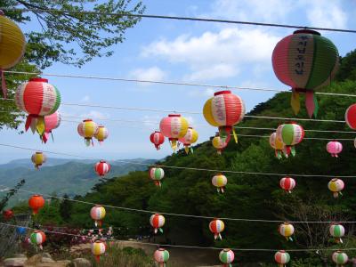 Lost in lanterns