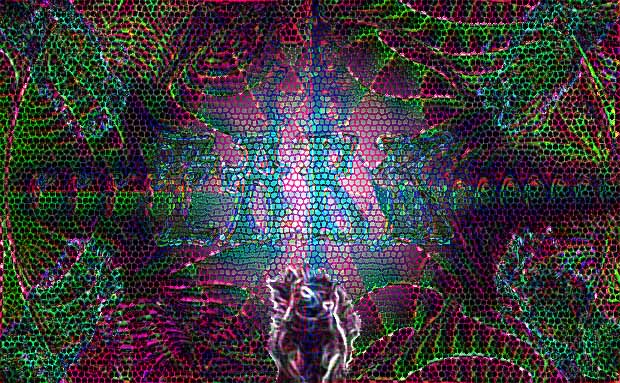 Psychedelic Fark.jpg