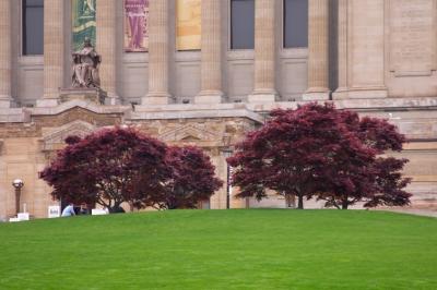 CRW_7630-1.jpg