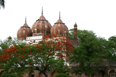 Domes, Safdarjung Tomb, Delhi