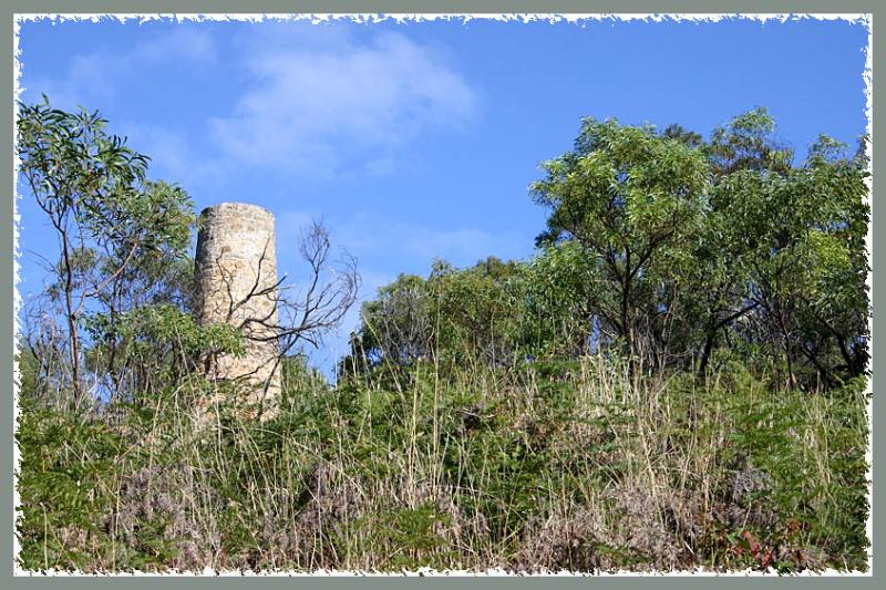 Chimney nestling in the undergrowth