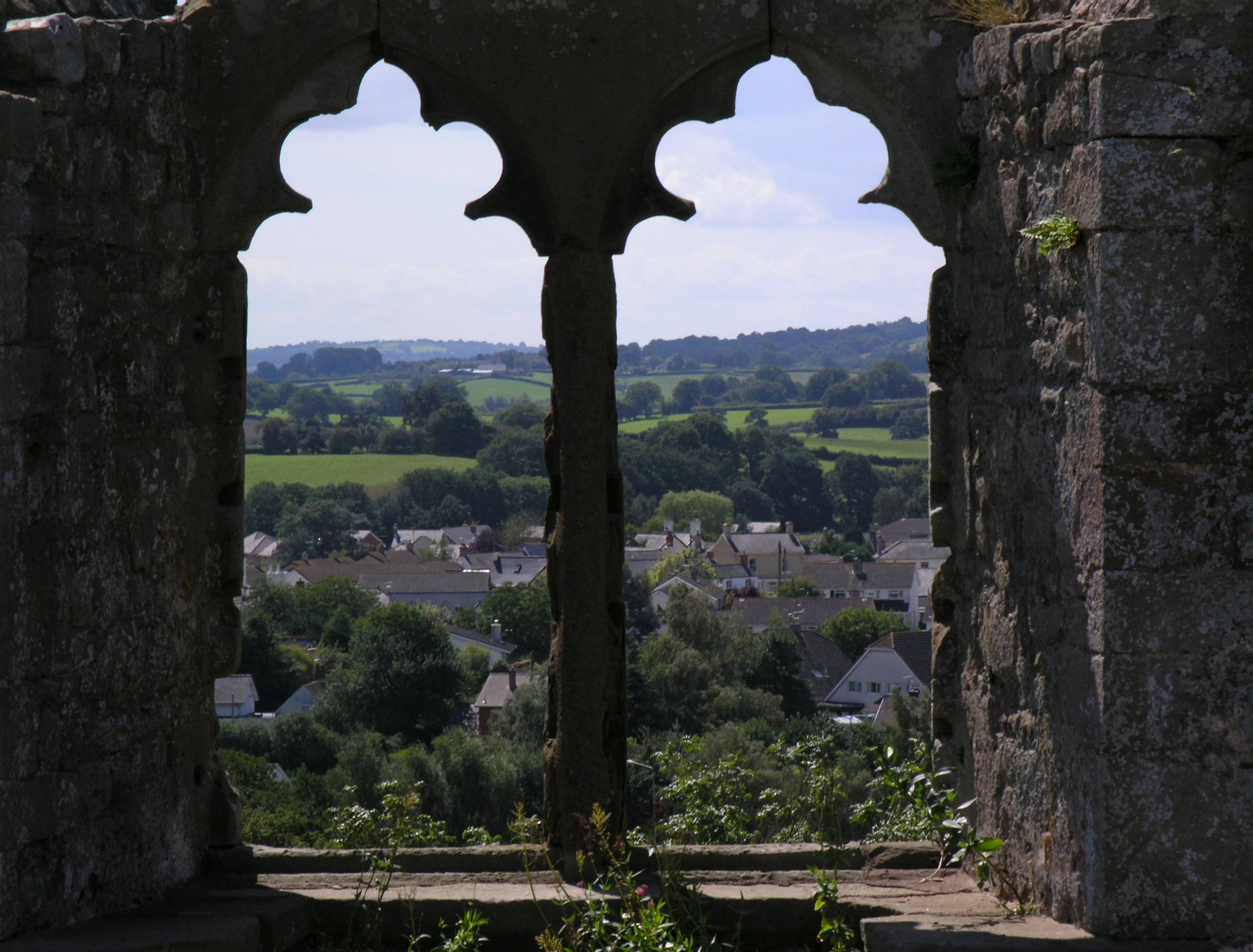 A view out