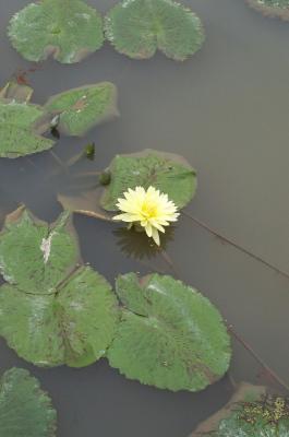 kodak_3400