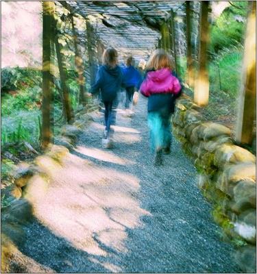 hakone-begut.jpg