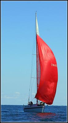 IMG_7064.jpg