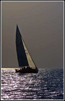 IMG_1055.jpg