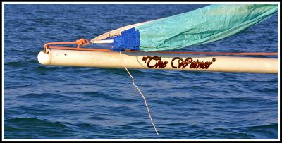 IMG_1031.jpg