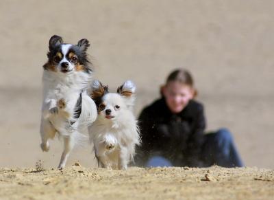 RUN2ME2.jpg