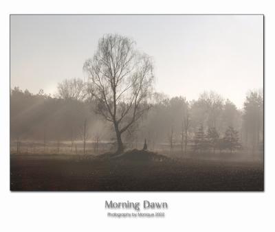 Morning Dawn 3