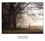 Morning Dawn 2