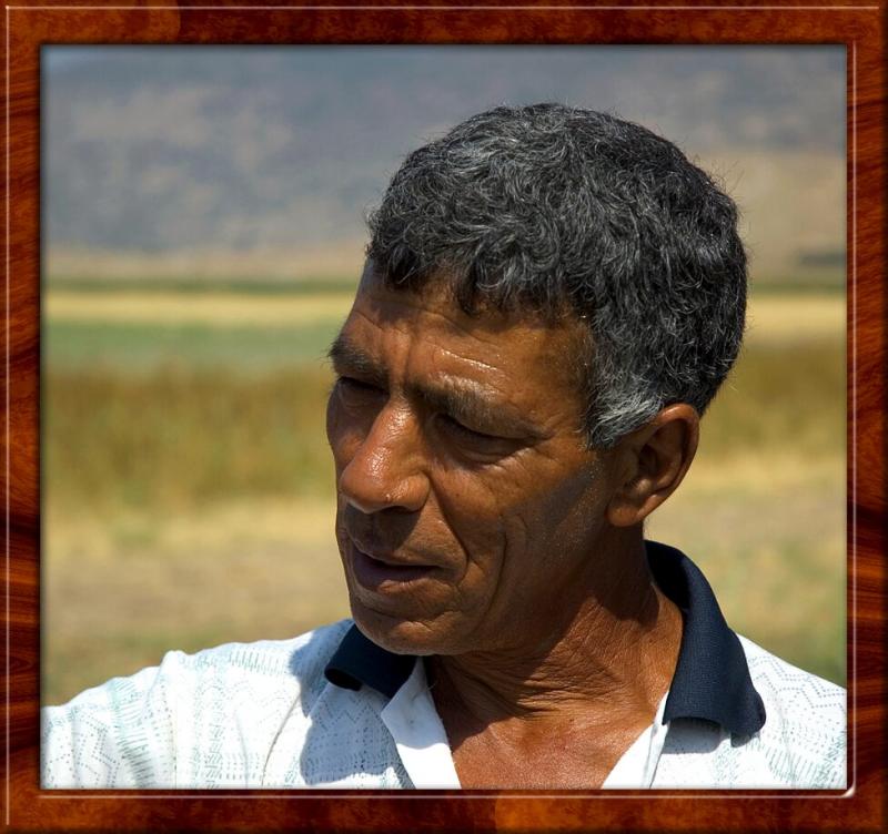 Mansour