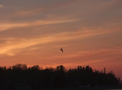sunset.jpg