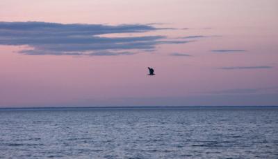 sunset3.jpg