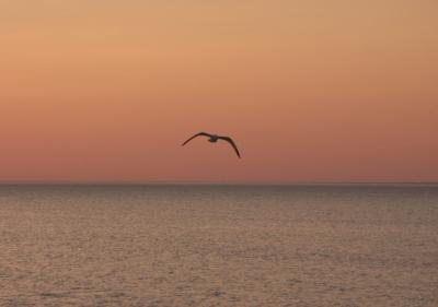 sunset 2.jpg