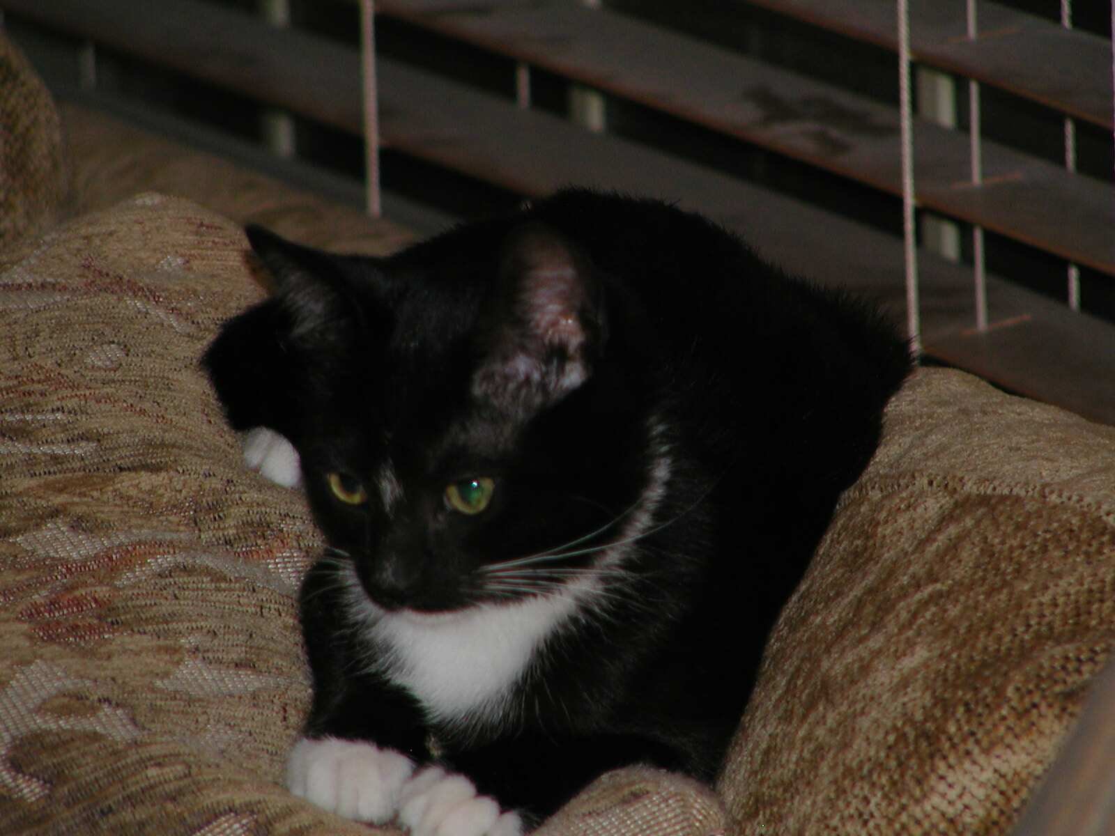 Jack
