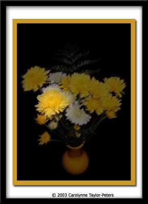 u19/bklyncmt/medium/11916625.Low09.jpg