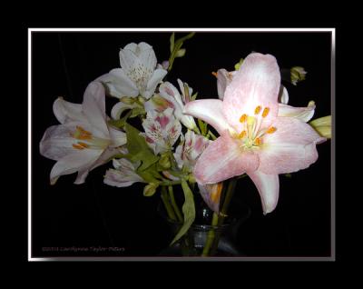 u19/bklyncmt/medium/13289097.Flora1.jpg
