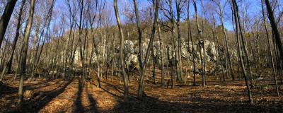 wSticks and Stones Pano-1 copy.jpg