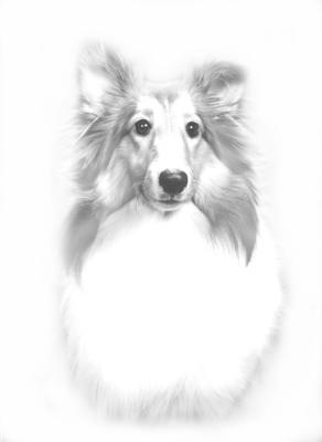 Pencil Sketch  technique