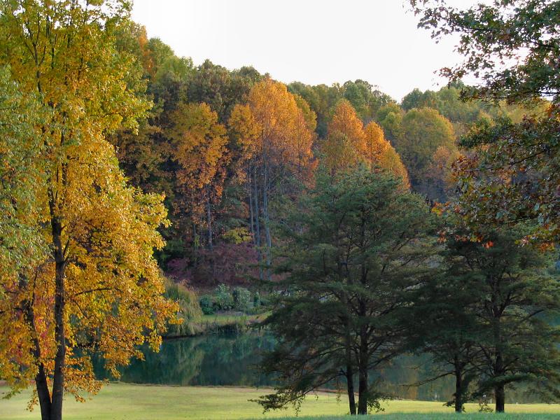 Meadowlark - October 2004