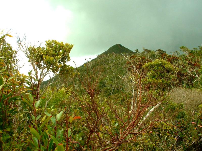 Piton de la Petite Riviere Noire