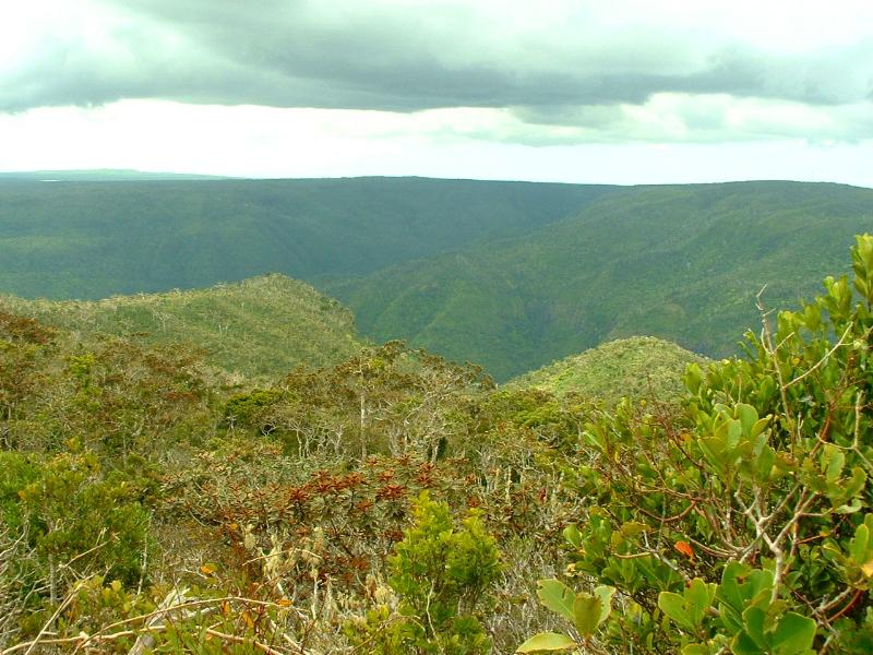 Gorges de la Riviere Noire