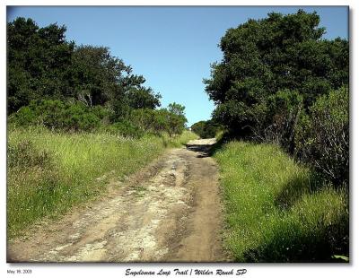 On the Englesman loop trail